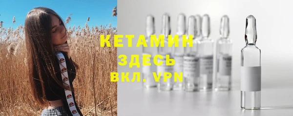 индика Белокуриха