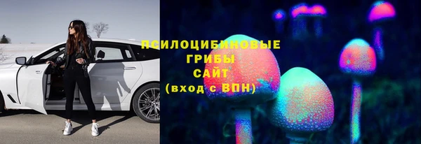 тгк Беломорск