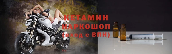 индика Белокуриха