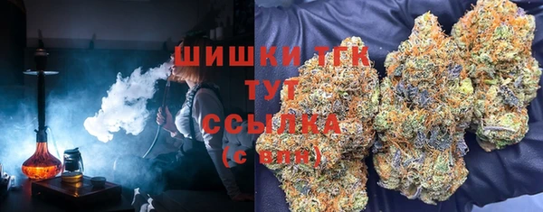 индика Белокуриха