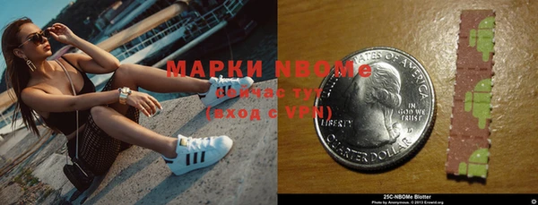 прущие грибы Белоозёрский
