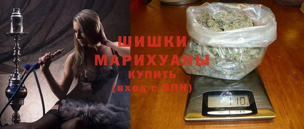индика Белокуриха