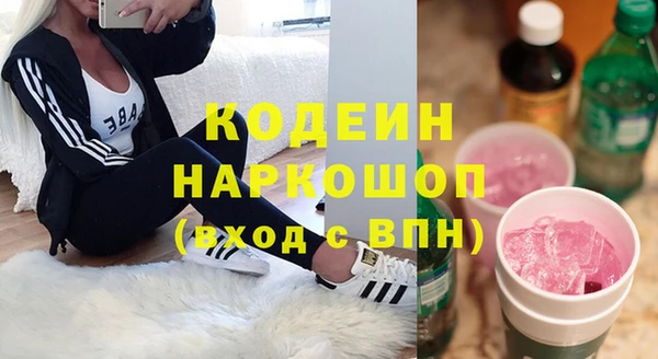 индика Белокуриха