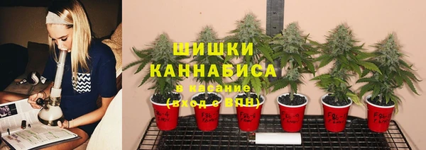 прущие грибы Белоозёрский