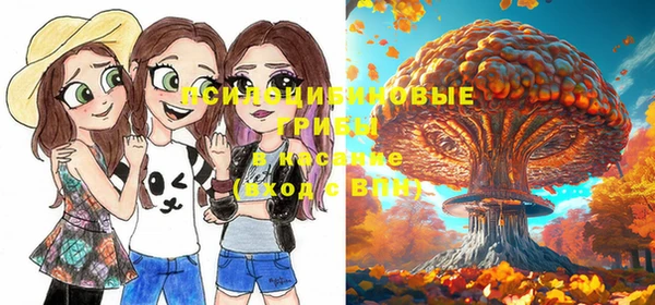 прущие грибы Белоозёрский