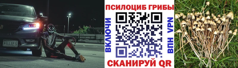 Галлюциногенные грибы Magic Shrooms купить наркотики сайты маркетплейс как зайти Костомукша